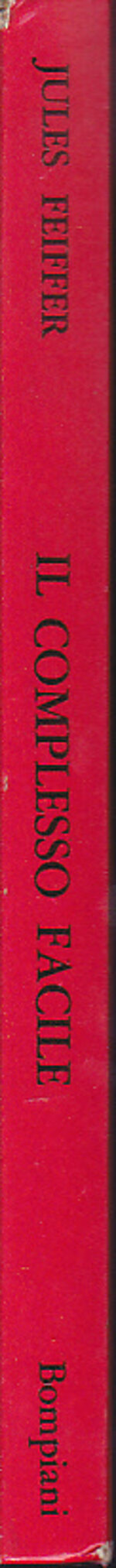 complesso-facile-guida-alla-coscienza-inquieta