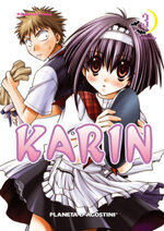 karin-3