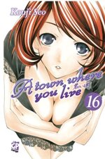 a-town-where-you-live-16