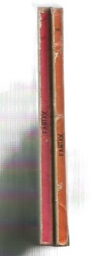 fantax-n17-fantax-contro-lombra