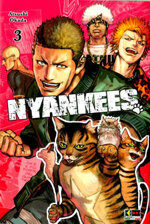 nyankees-3