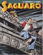 saguaro-27