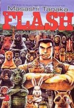 flash-3