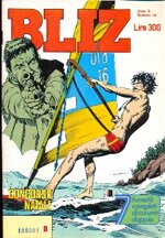 bliz-anno-ii-n49