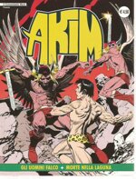 akim-n17