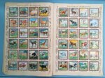 album-figurine-lampo-scuola-animali-di-tutto-il-mondo-comple