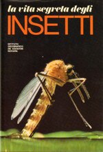 la-vita-segreta-degli-insetti