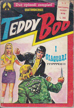 teddy-bob-raccolta-3