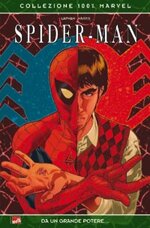 spider-man-da-un-grande-potere