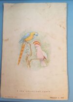 album-figurine-lampo-scuola-animali-di-tutto-il-mondo-comple
