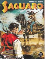 saguaro-29