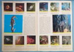 il-regno-animale-un-viaggio-nel-fantastico-completo