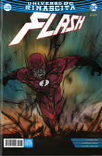 flash-85-rinascita-29
