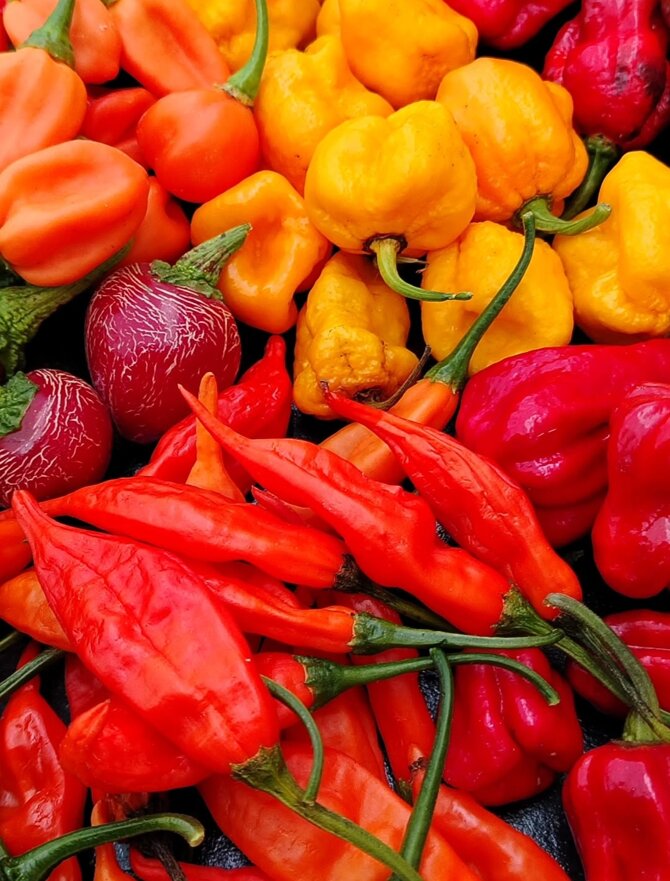 mix peperoncini