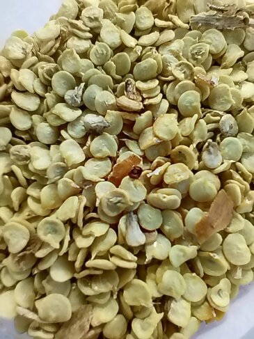 semi di peperoncino