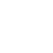 work-in-progress