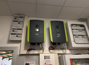 img_1398.jpeg img_1398.jpeg