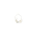 adford1-adattatori-lampadine-xenon-ford