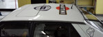 livrea-delta-tipo-ufficiale-8v-16v-gra