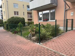 img_6709.jpeg