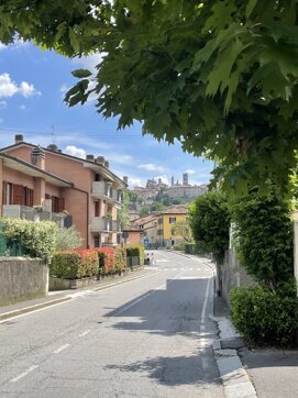 img_7005.jpeg