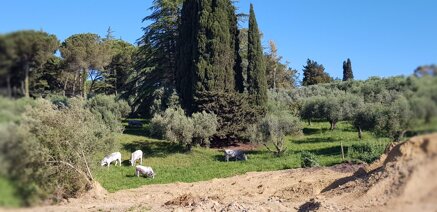 355fb8fbff308d43cf700cfafc707f7ca8725702 355fb8fbff308d43cf700cfafc707f7ca8725702