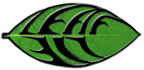 foglia leaf lie verde