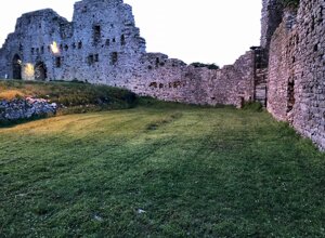 img_3710.jpeg img_3710.jpeg