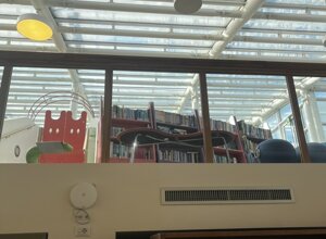 img_6145.jpeg img_6145.jpeg