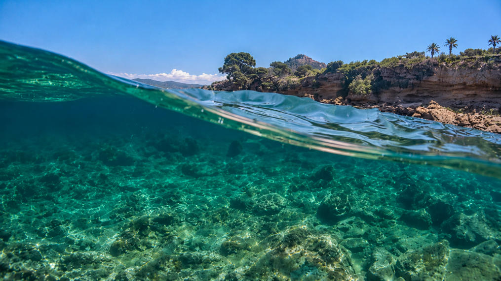 Acque cristalline del mare del Cilento, con fondali trasparenti, costa rocciosa e vegetazione mediterranea.