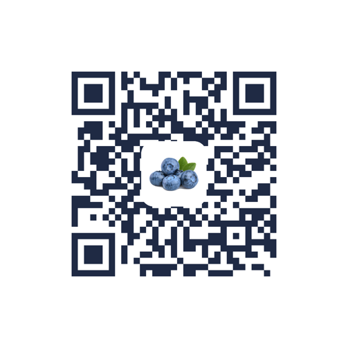 mirtillo - qr per il sito