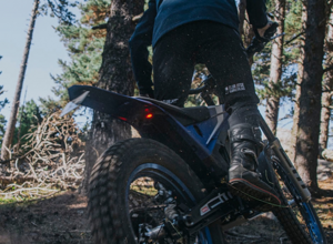 29 29
