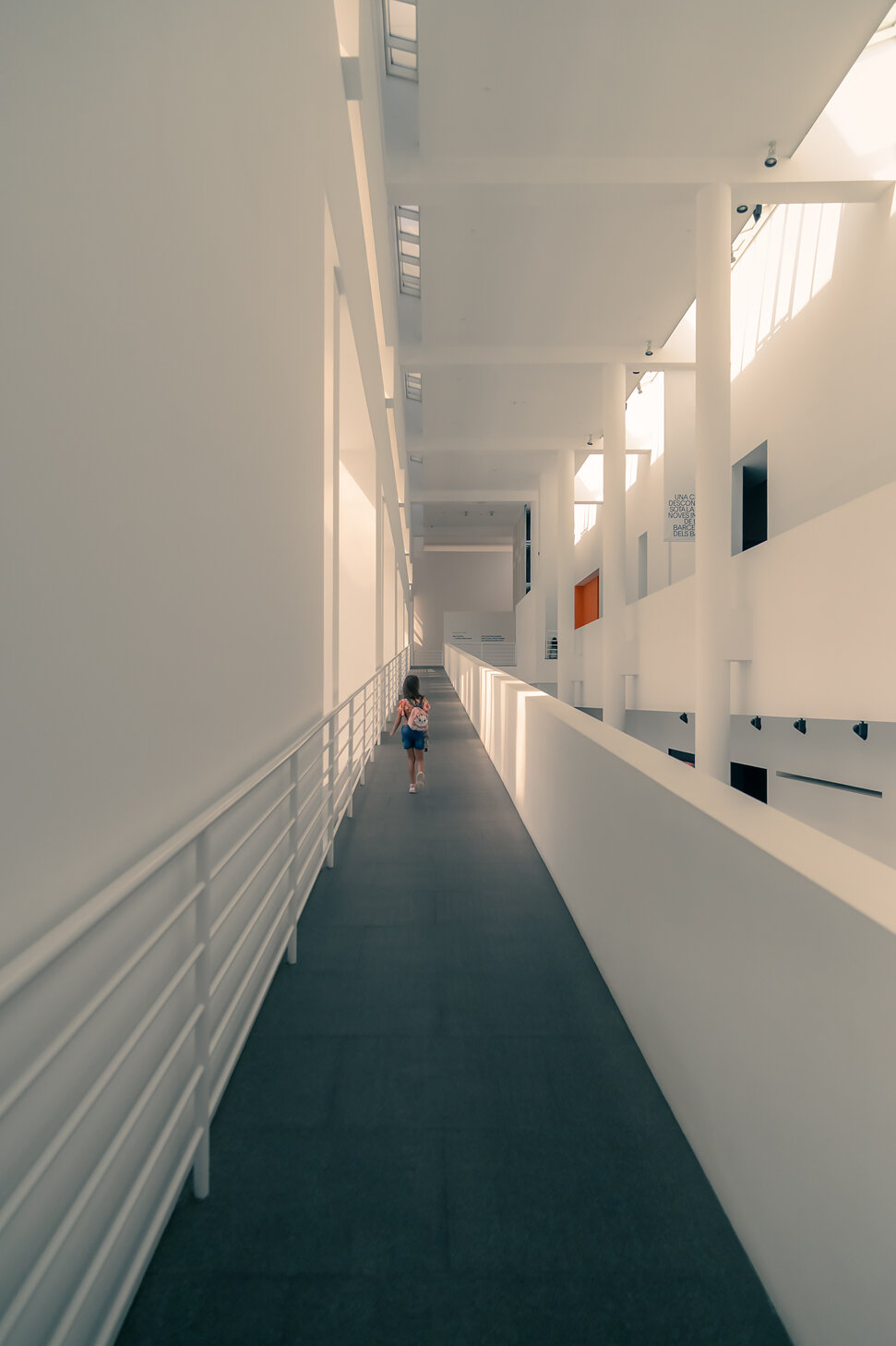 _dsc7154.jpeg _dsc7154.jpeg