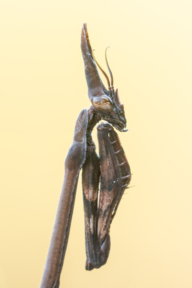 _dsc3443.jpeg _dsc3443.jpeg