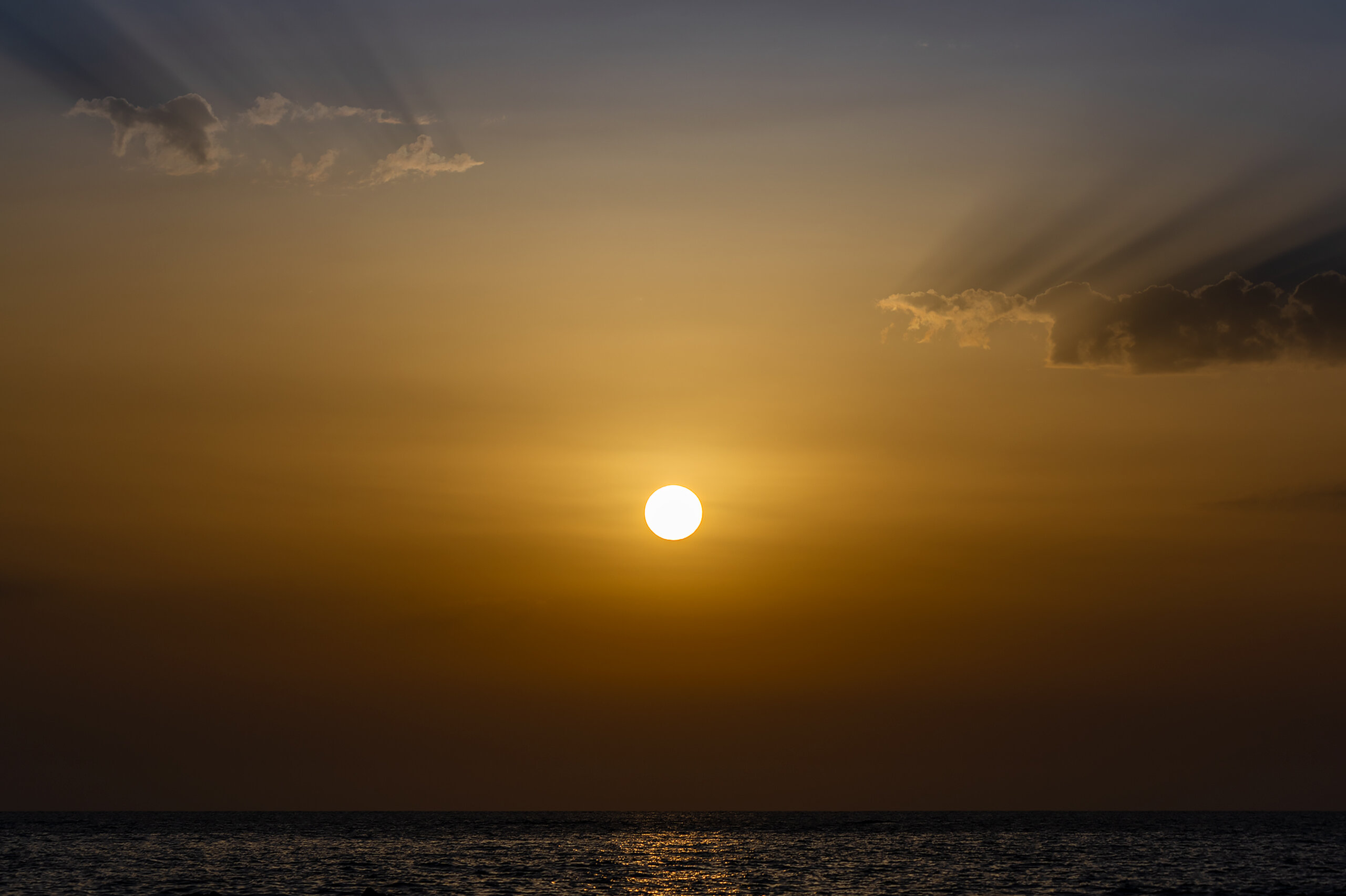 _dsc3950.jpeg