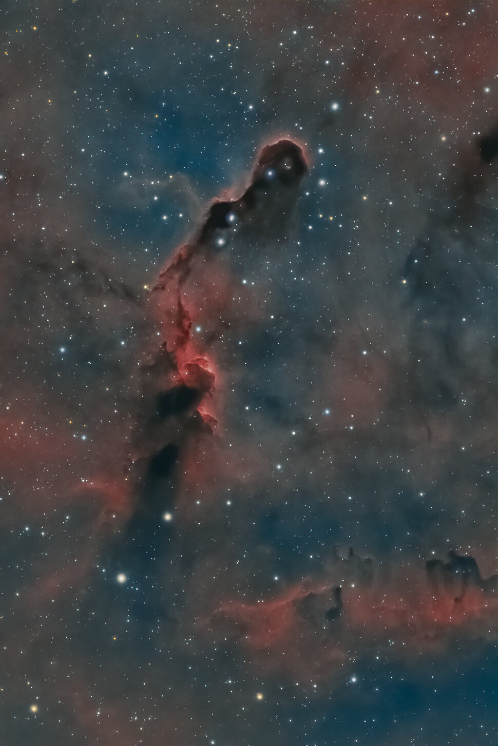 ic1396.jpeg ic1396.jpeg