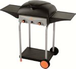barbecue-a-gas-happy-2-bruciatori-10-kw-griglia-roccia-lavica