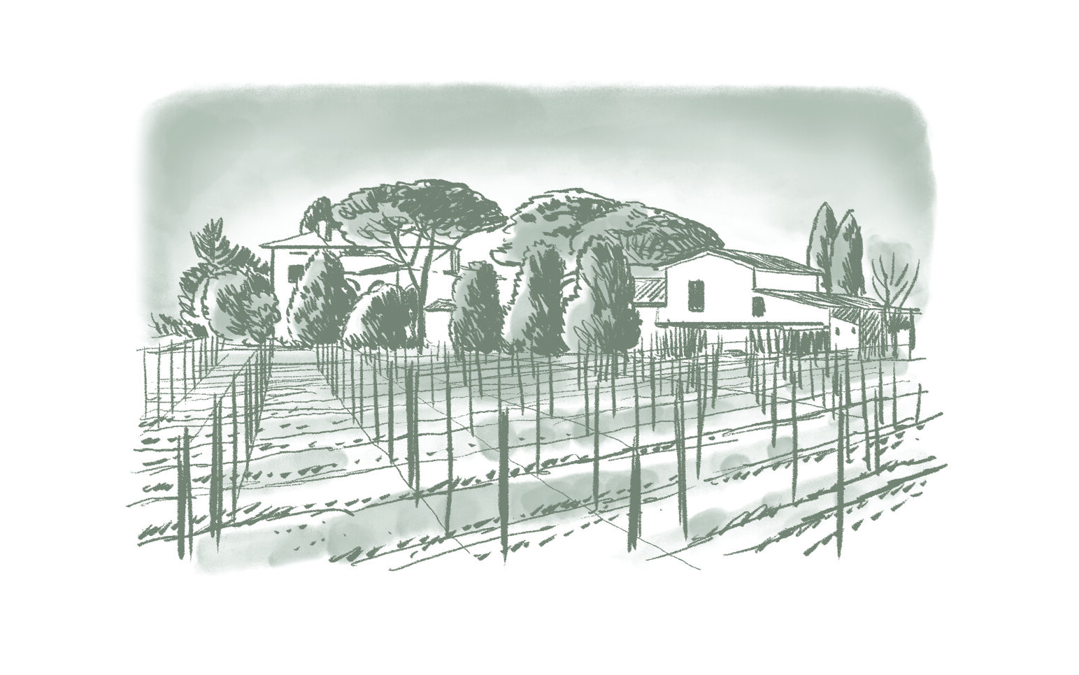 illustrazione_piovan_21x13,5cm_ok.jpeg