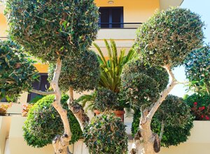 img_20240407_135600.jpeg img_20240407_135600.jpeg
