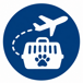 trasporto animali in aereo