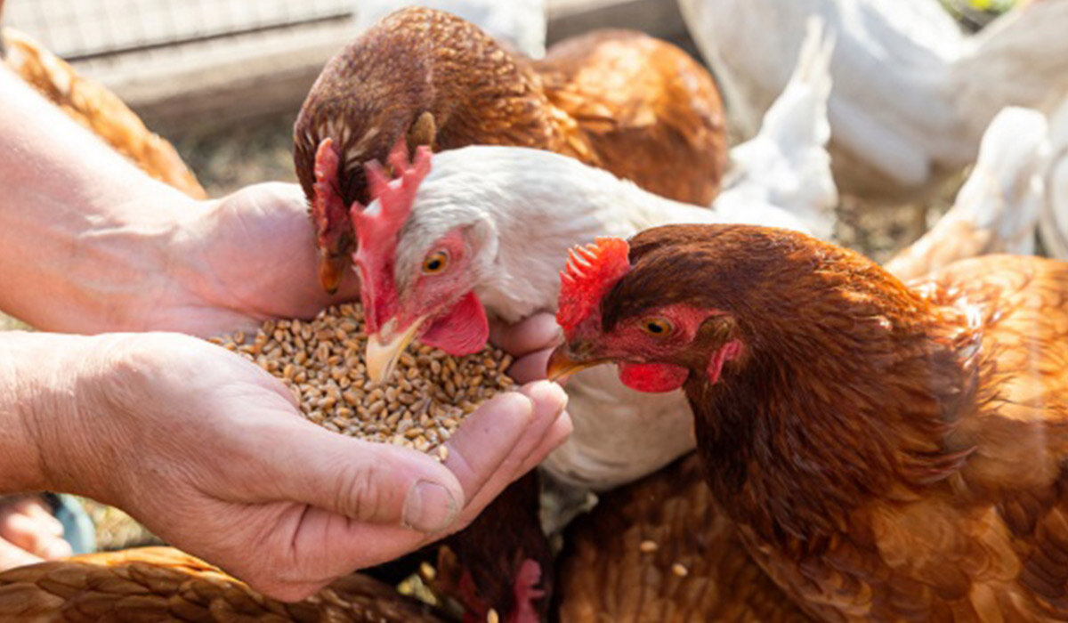 9b9cab5270b31962f65cd0727bce25eb7c3b5ee8