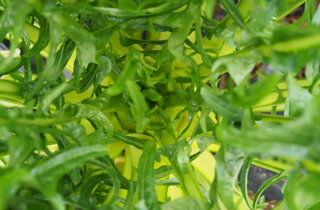 pb090202.jpeg