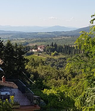 20180626_173536.jpeg 20180626_173536.jpeg