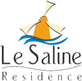 logo_lesaline