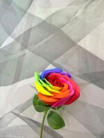 rose-di-sapone