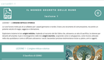 corso001-il-mondo-segreto-delle-rune