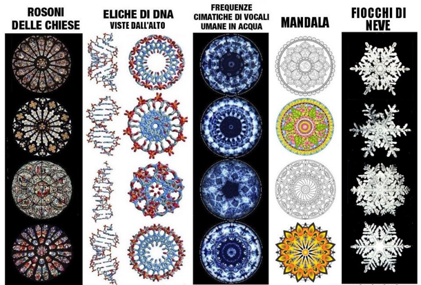 rosoni dna mandala
