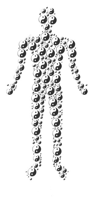 stock-vector-yin-yang-human-avatar-vector-yin-yang-icons-are-arranged-into-person-combination-1091525705.jpeg