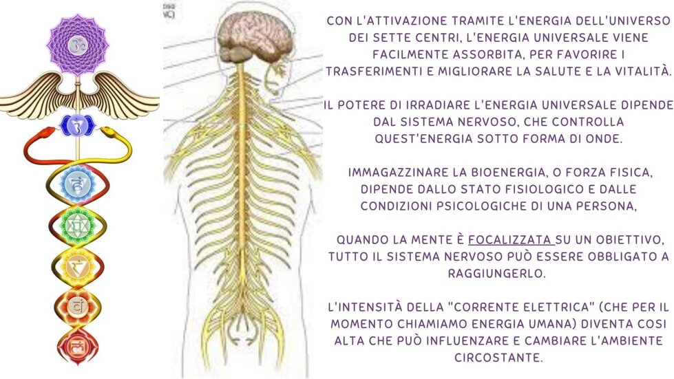 2_accademia_di_massaggio_mahaprana_energia_universale_20250216_171207.jpeg