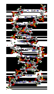 dna_animation